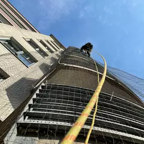 Taubenvergrämmung - Wohnsiedlung Waidmannstraße | Meister im Seil GmbH - Industriekletterer Hamburg