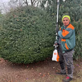 Bild von Gartengestaltung und Pflege Trudering