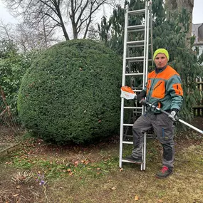 Bild von Gartengestaltung und Pflege Trudering
