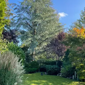 Bild von Gartengestaltung und Pflege Trudering