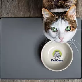 Bild von Financial Supply Center Inc.