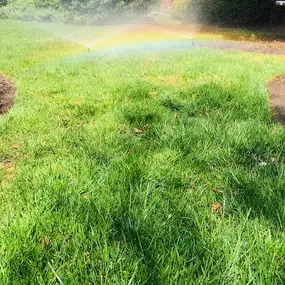 Bild von Heads Up Sprinkler Systems, Inc.