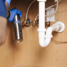 Applying Pest Treatment