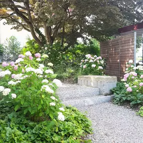 Bild von Aquilegia Im Garten Zuhause GmbH