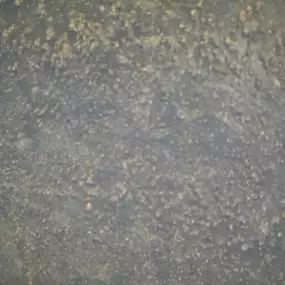 Bild von aquavisionsurvey Unterwasser Drohnen Inspektion