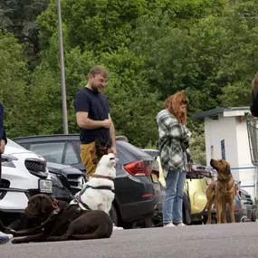 Bild von Hundezentrum Saarburg