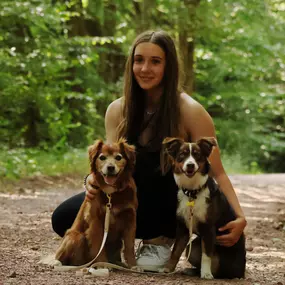 Bild von Hundezentrum Saarburg