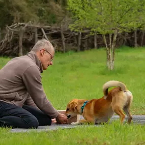Bild von Hundezentrum Saarburg