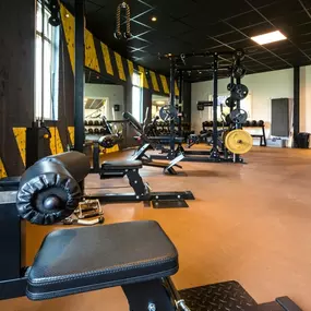 Bild von FitFight Kickboksen