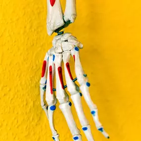Bild von Ilmtaltherapie Stefan Scholze