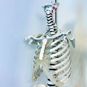 Bild von Praxis für Physiotherapie Stefan Scholze