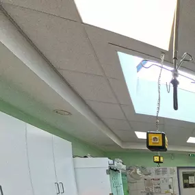 Bild von Animova Veterinarian - Tierarzt