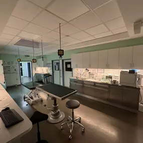 Bild von Animova Veterinarian - Tierarzt