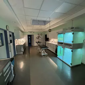 Bild von Animova Veterinarian - Tierarzt