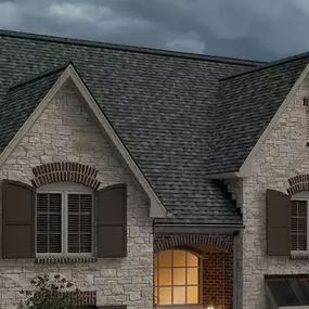 Bild von Silver Leaf