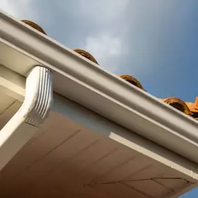 Bild von Silver Leaf