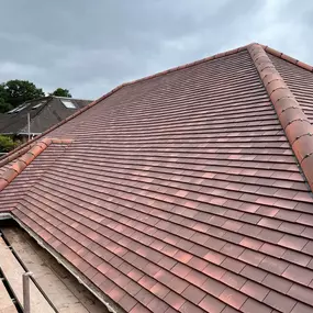 Bild von SPP Roofing Ltd