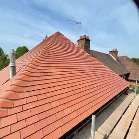 Bild von SPP Roofing Ltd