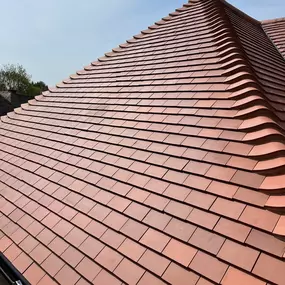 Bild von SPP Roofing Ltd