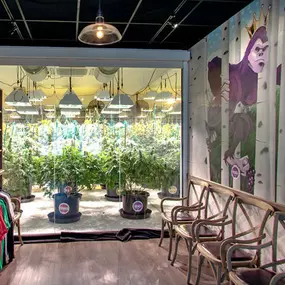 High Country Healing Vail Dispensary