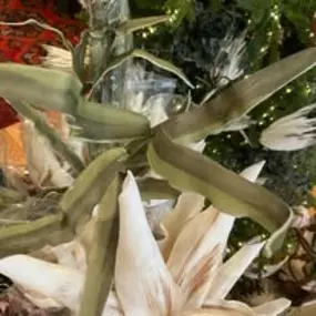 Bild von Clementines Boutique