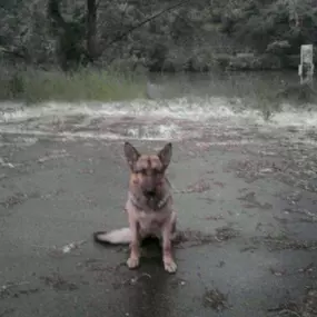 Bild von DVP Sicherheit e.K.