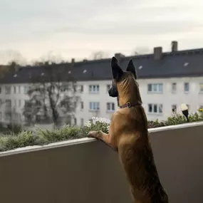 Bild von DVP Sicherheit e.K.