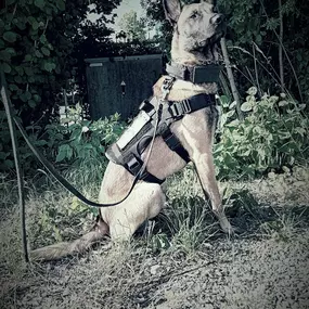 Bild von DVP Sicherheit e.K.