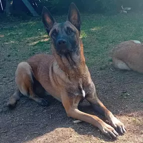 Bild von DVP Sicherheit e.K.