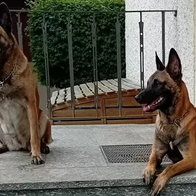 Bild von DVP Sicherheit e.K.