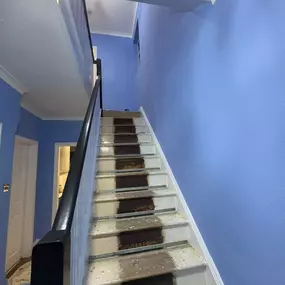 Bild von C.J.L Decorating