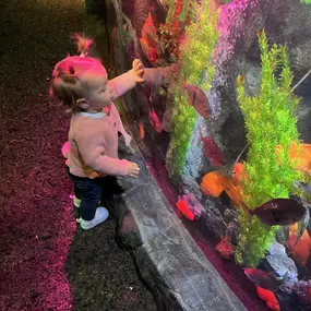 Bild von Wild & Kind Childcare