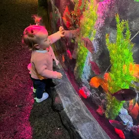 Bild von Wild & Kind Childcare