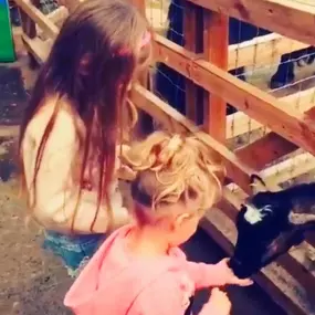 Bild von Wild & Kind Childcare