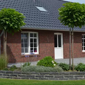 Bild von Brink NATÜRLICH GRÜN GmbH & Co.KG