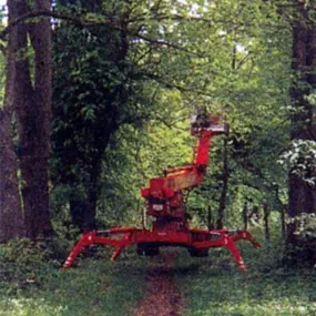 Bild von Baumpflege Buenstorf Inh. Walter Buenstorf