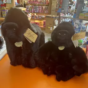 Castle Toys Castle Rock, CO