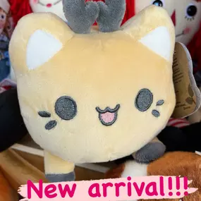 Castle Toys Castle Rock, CO