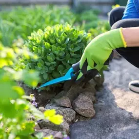 Bild von Reinigungs- und Gebäudeservice Pasewalk Wiesetzki