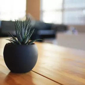 Bild von Psychologische Praxis & Psychotherapie (HPG) Kathrin Schmidt