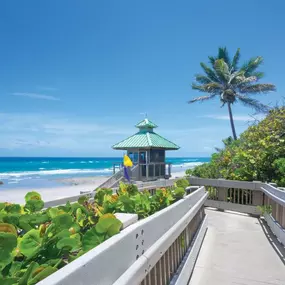 Enjoy beautiful beachside adventures