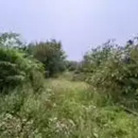 Bild von Arbora
