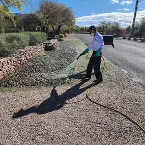 Pest Control Queen Creek