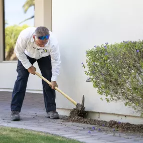 Bed Bug Control