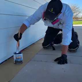 Termite Inspection