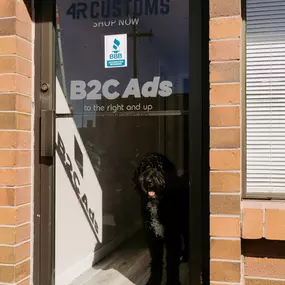 Bild von B2C ADS