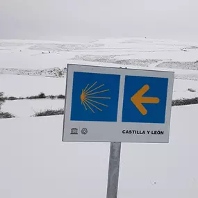 P1.jpg