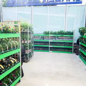 Bild von B&M Home Store with Garden Centre