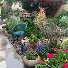 Colorful backyard garden with flowering plants, potted arrangements, a green chair, umbrella-covered patio seating, and wet paved walkway.