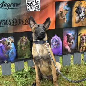 Bild von Limanov K9